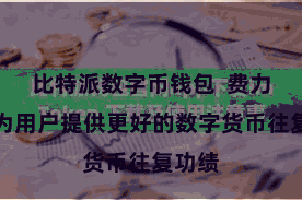 比特派数字币钱包  费力于于为用户提供更好的数字货币往复功绩