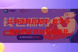 比特派钱包助手  数字钞票科罚变得越来越垂死