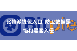比特派钱包入口  防卫数据露馅和黑客入侵